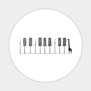 The pianist Magnet